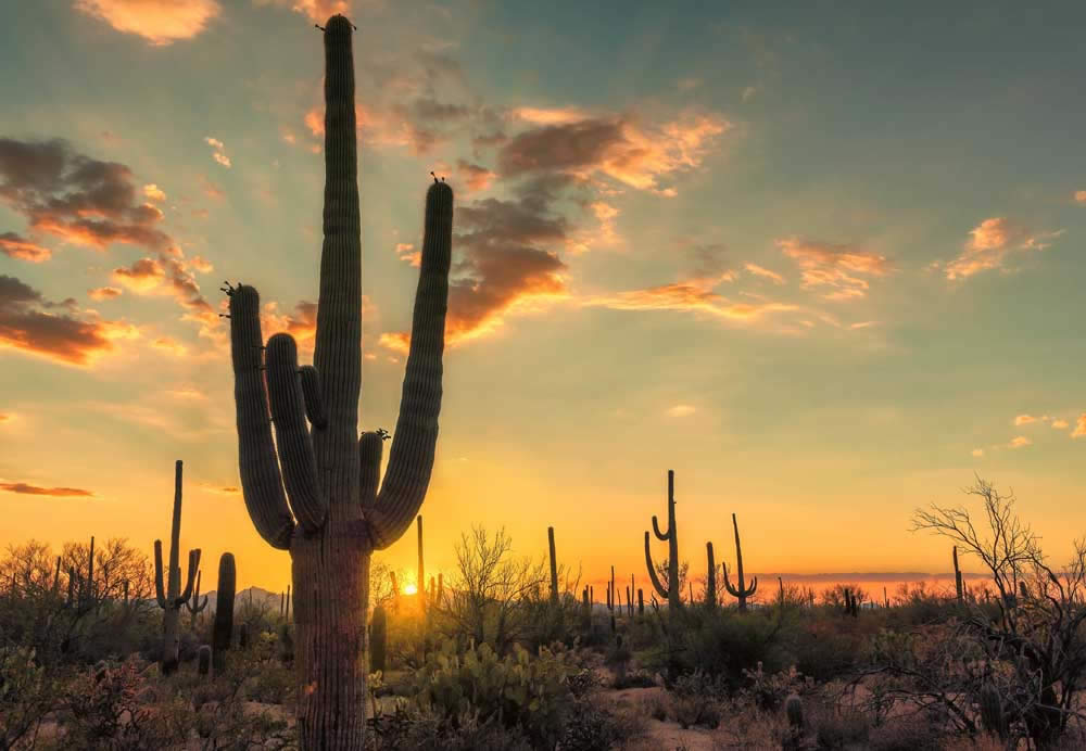 The Ultimate Visitors Guide to Arizona